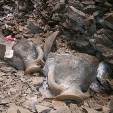 Ancient amphorae once carried olive oil across the Roman Empire